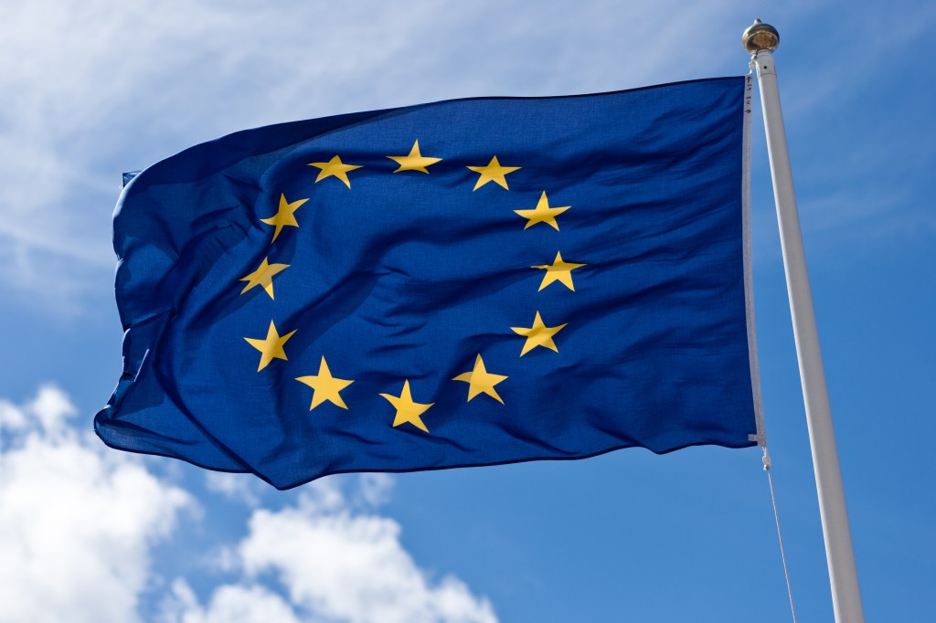 By Håkan Dahlström from Malmö, Sweden - European Union Flag, CC BY 2.0, https://commons.wikimedia.org/w/index.php?curid=80625096