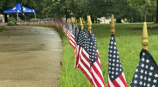 Flags on campus of University of Kentucky for 9/11 victims
